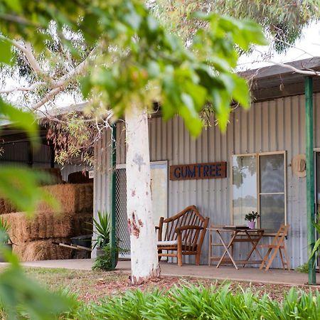 Peppertree Farm Mudgee 빌라 외부 사진