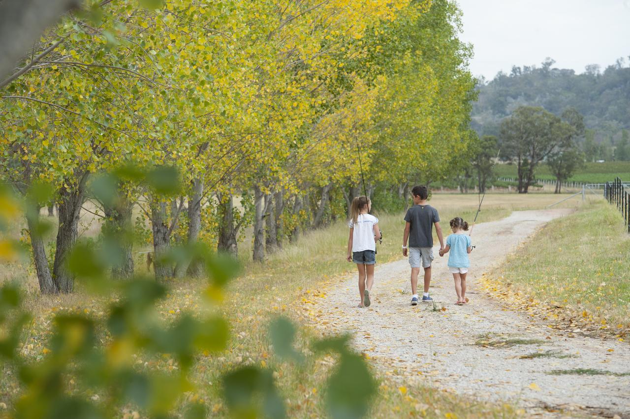 Peppertree Farm Mudgee 빌라 외부 사진