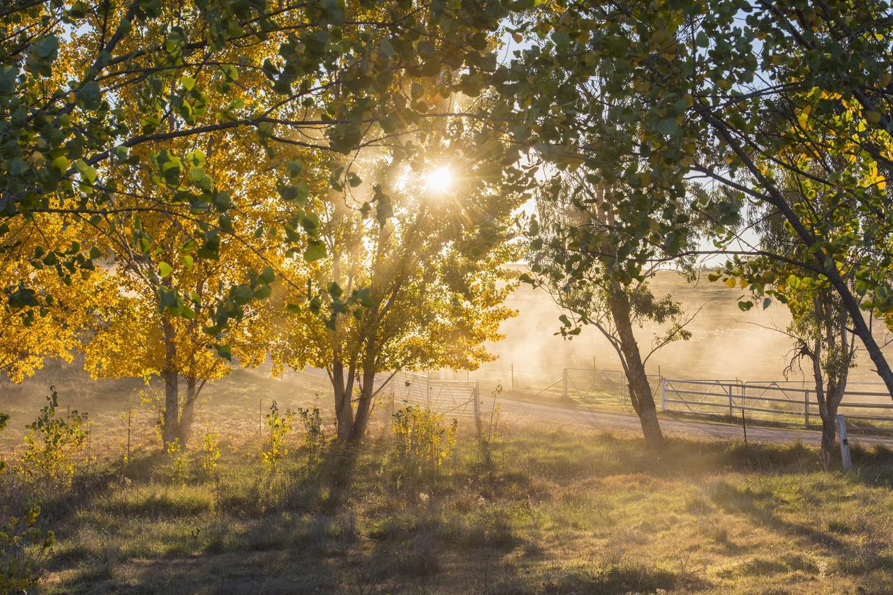 Peppertree Farm Mudgee 빌라 외부 사진